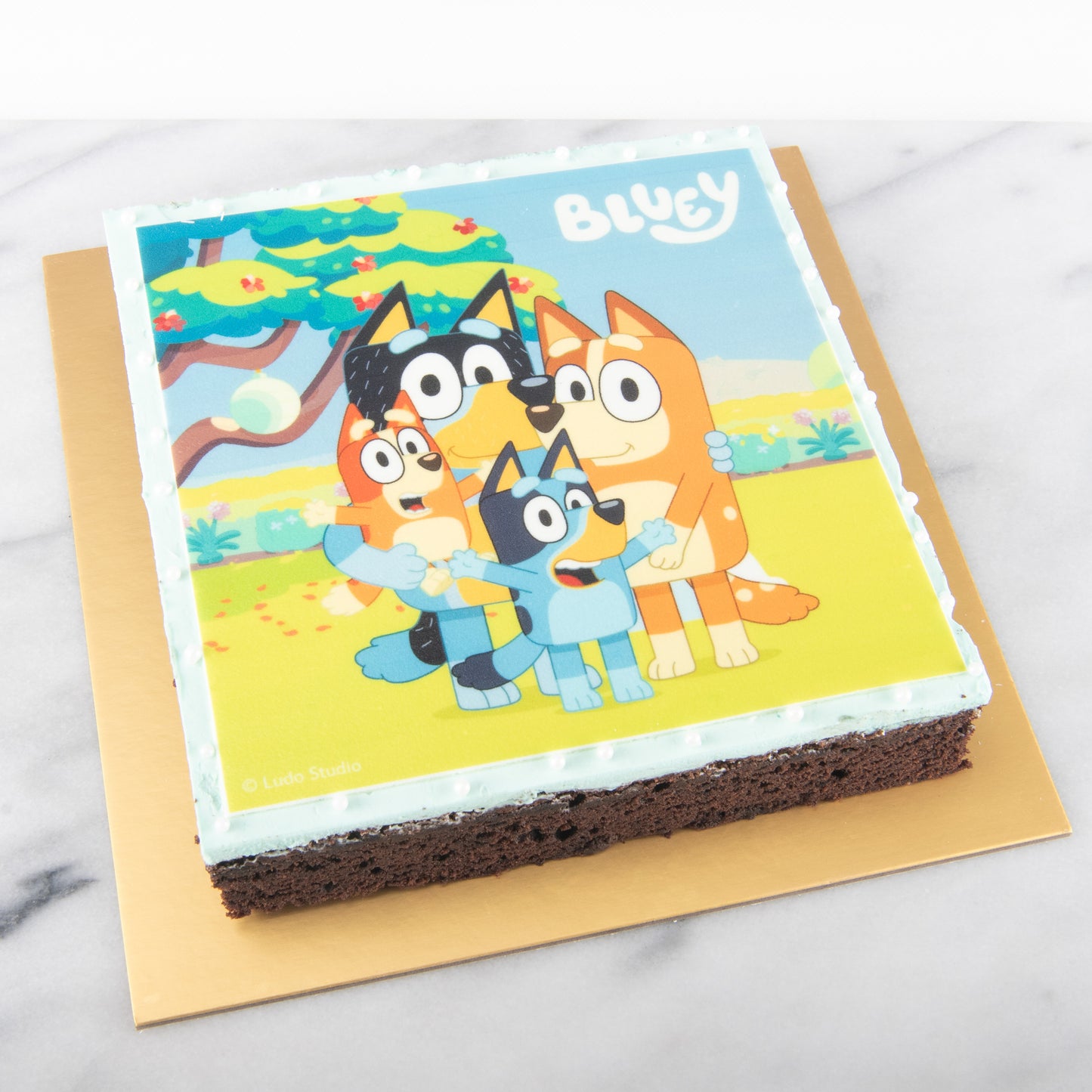 Bluey Fudgy Big Brownie 18x18cm | $45.80 Nett