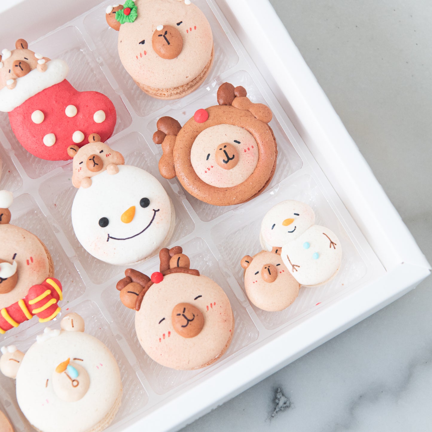 Ho Ho Ho! Merry Christmas | 12in1 Capybara Wonderland Macaron | $65.80 Nett