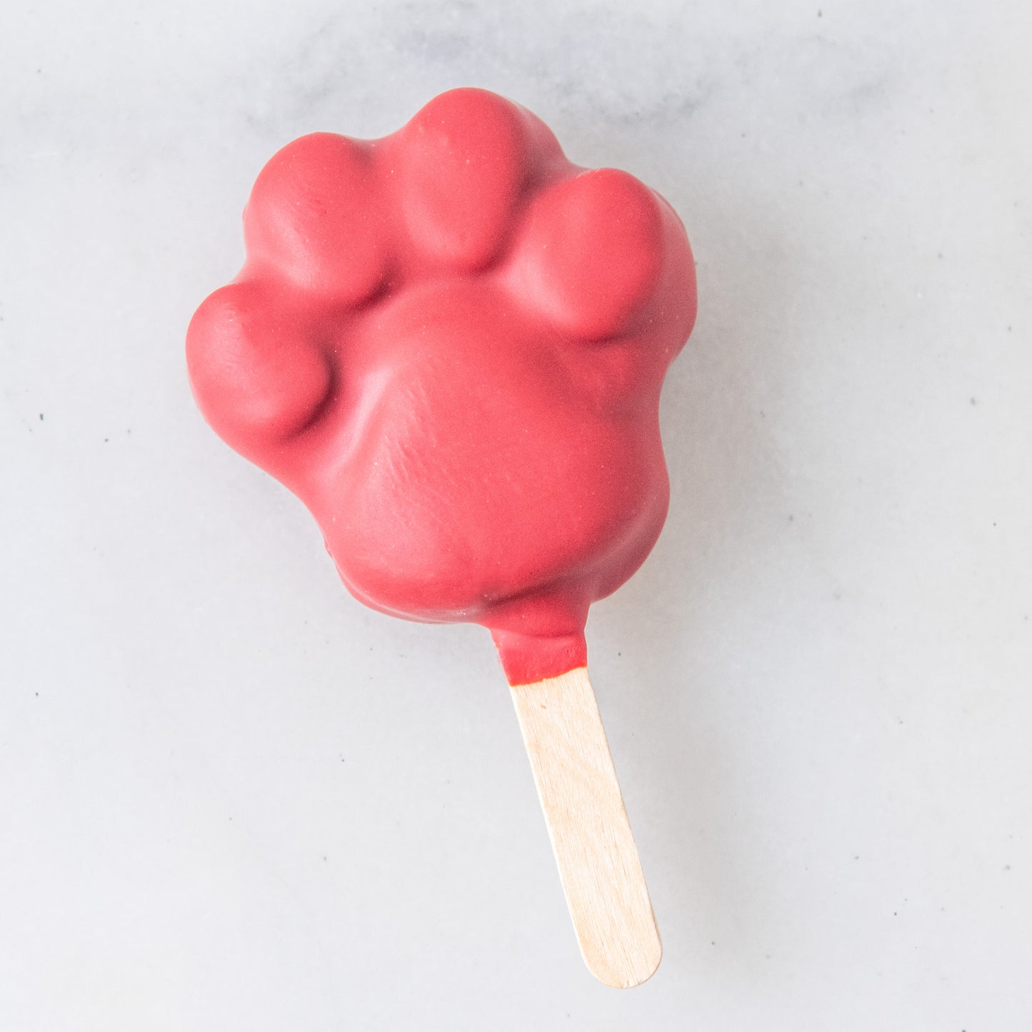 Disney Zootopia Paw Shape Cakesicles | $5 Nett
