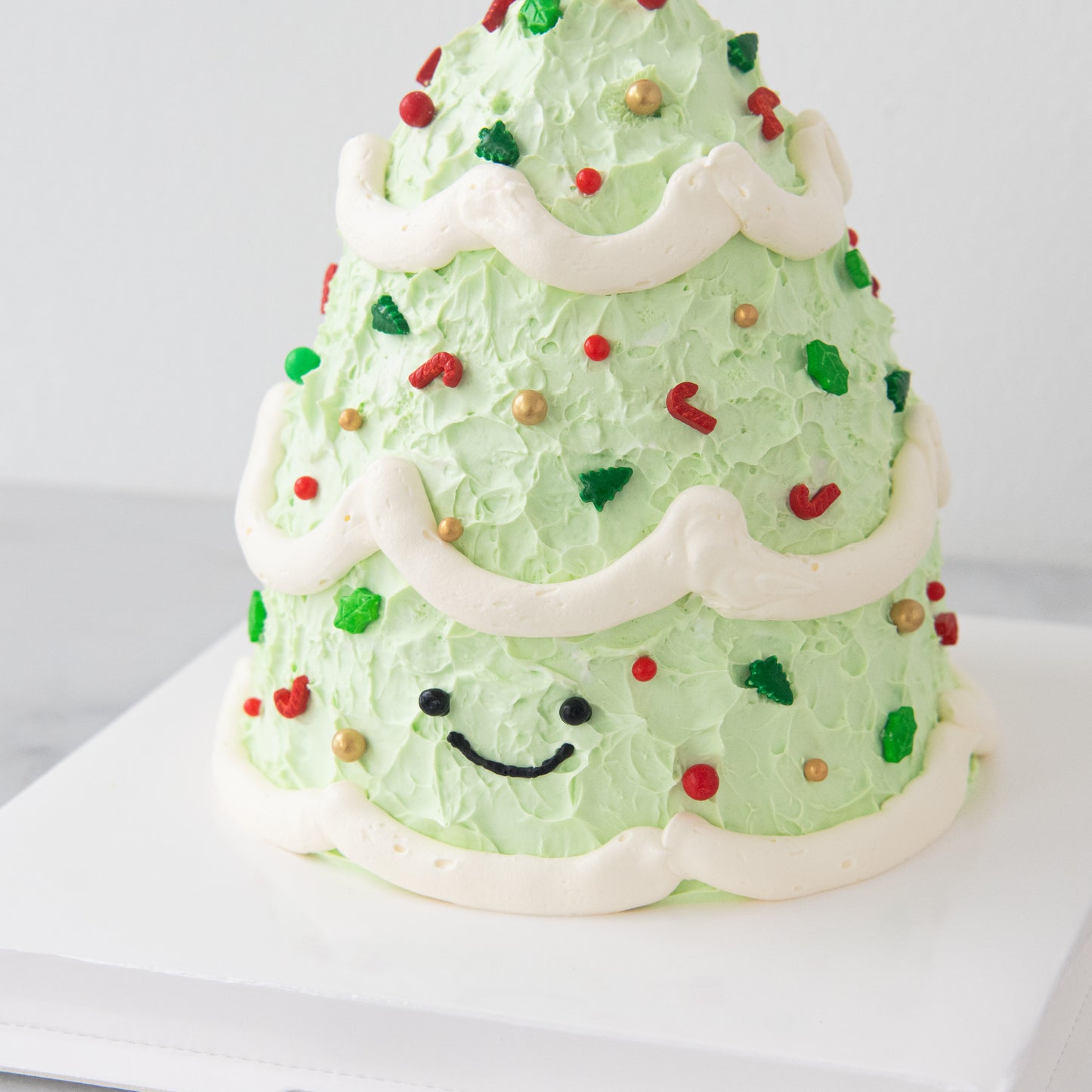 Ho ho ho! Merry Christmas | Christmas Tree 5inch Cake | $198 Nett