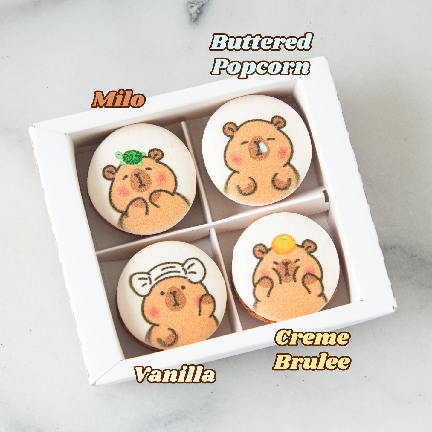 4in1 Printed Capybara Macaron In Gift Box