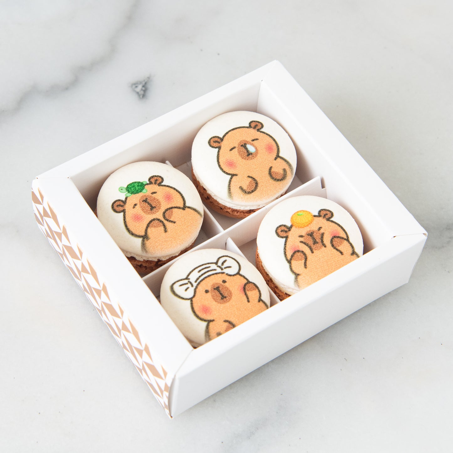 4in1 Printed Capybara Macaron In Gift Box