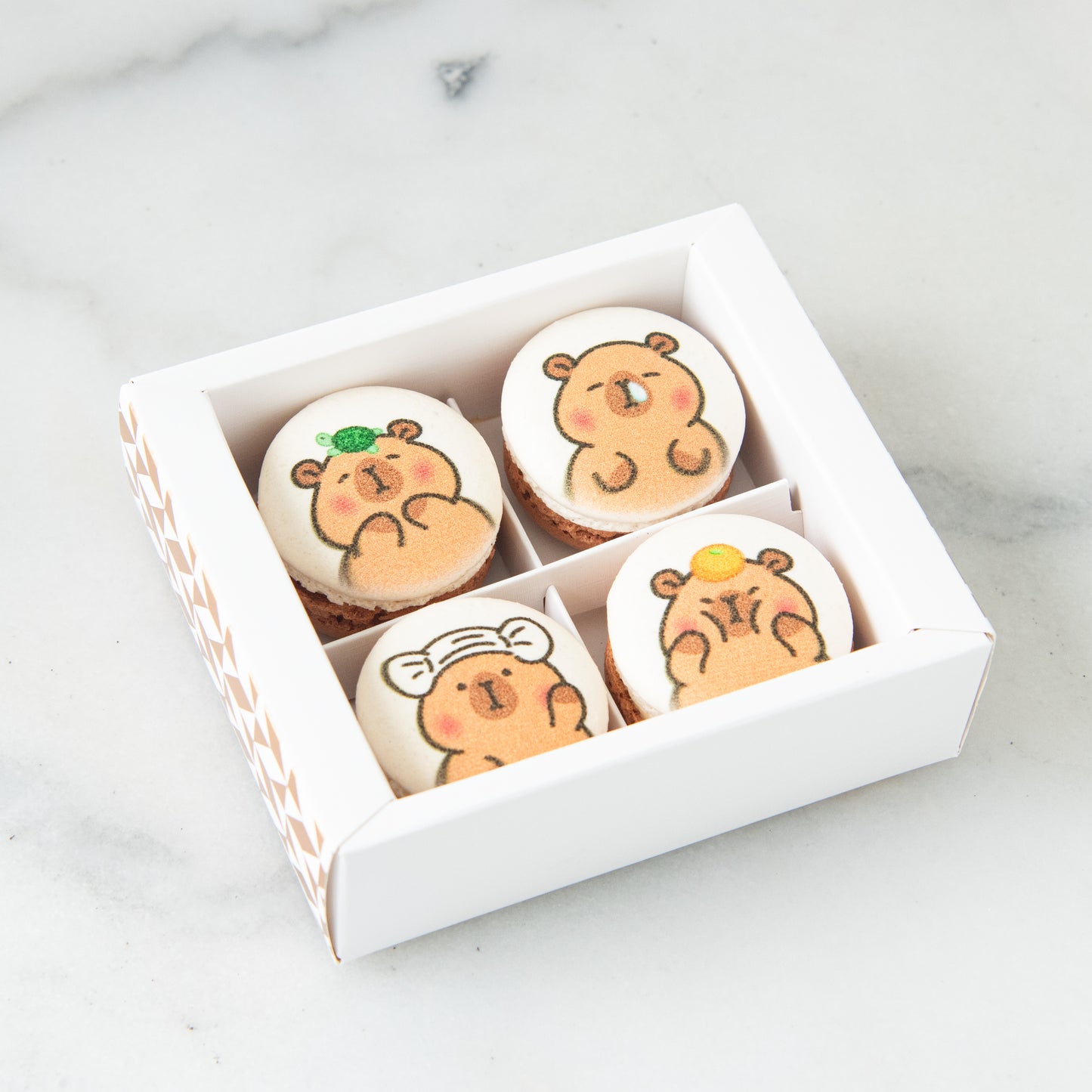 4in1 Printed Capybara Macaron In Gift Box