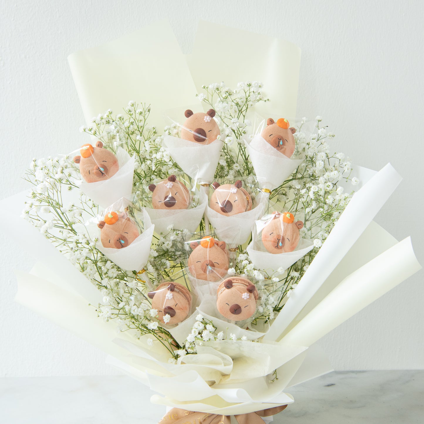 Capybara Macaron Bouquet | $138 only (u.p $258.00)