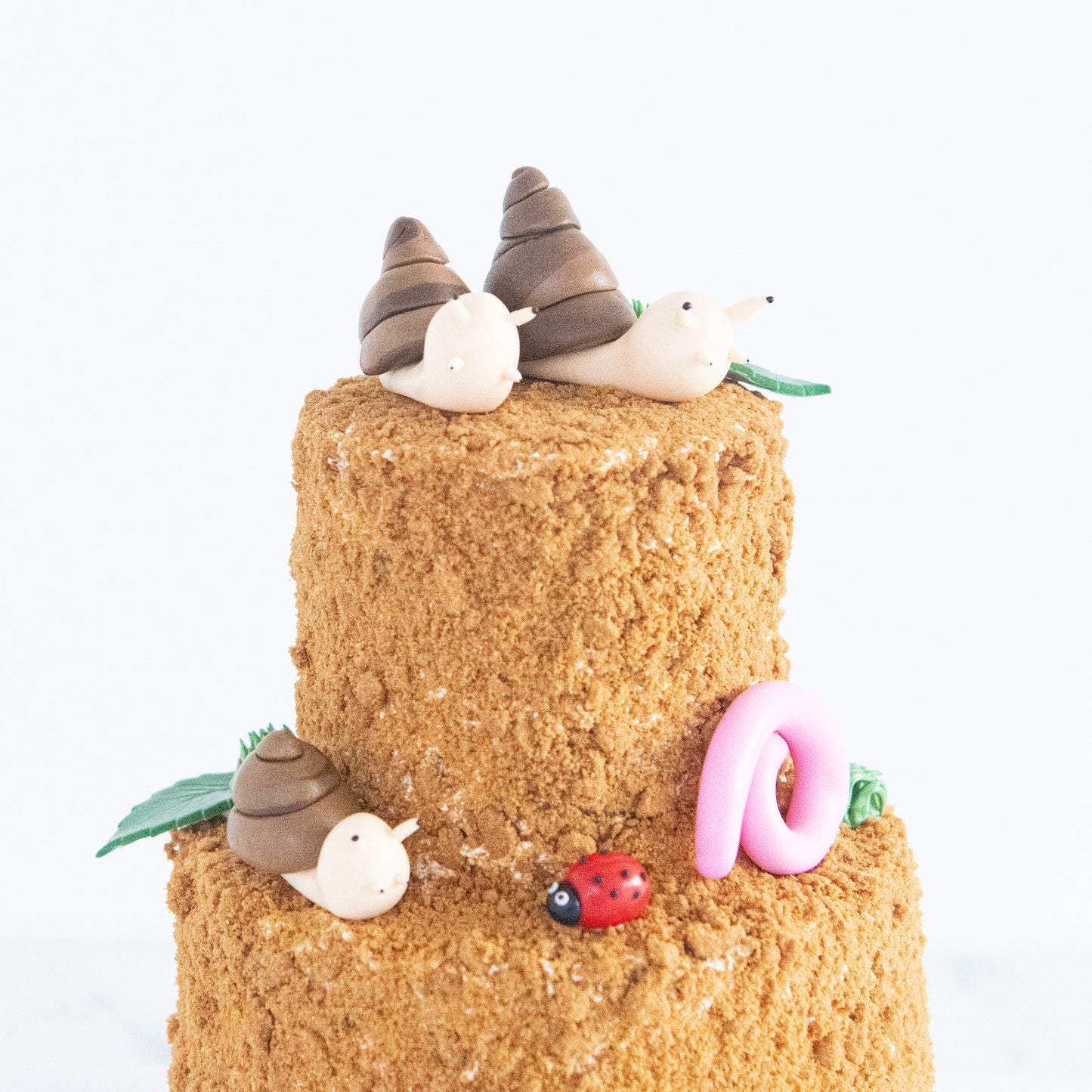 Customized Cake - Garden Snail Cake