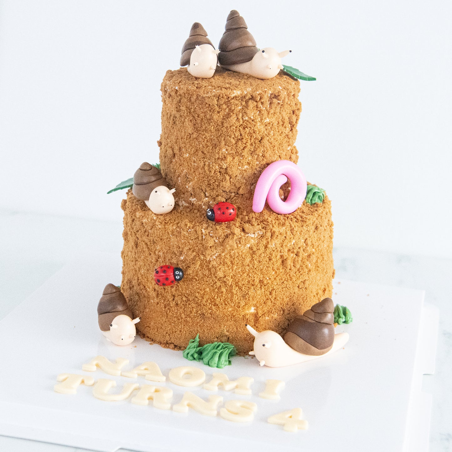 Customized Cake - Garden Snail Cake