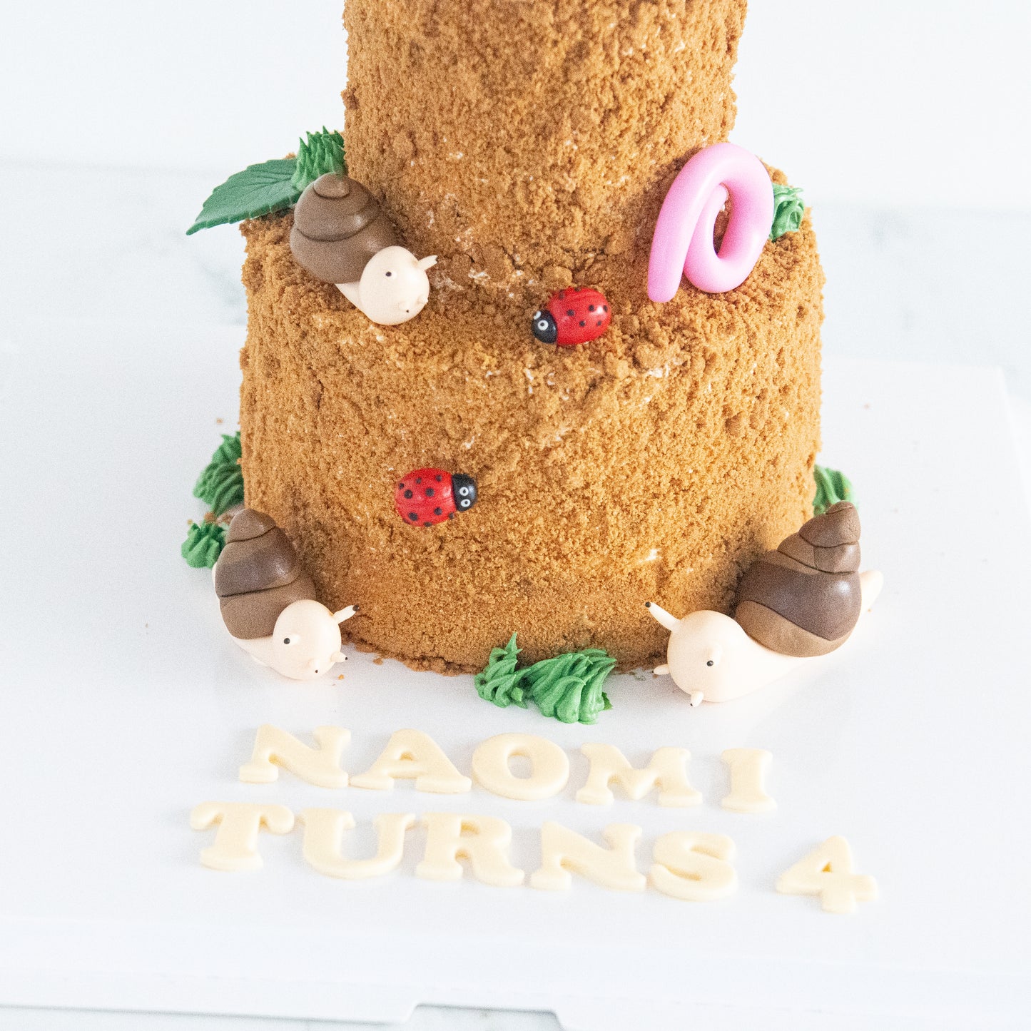 Customized Cake - Garden Snail Cake