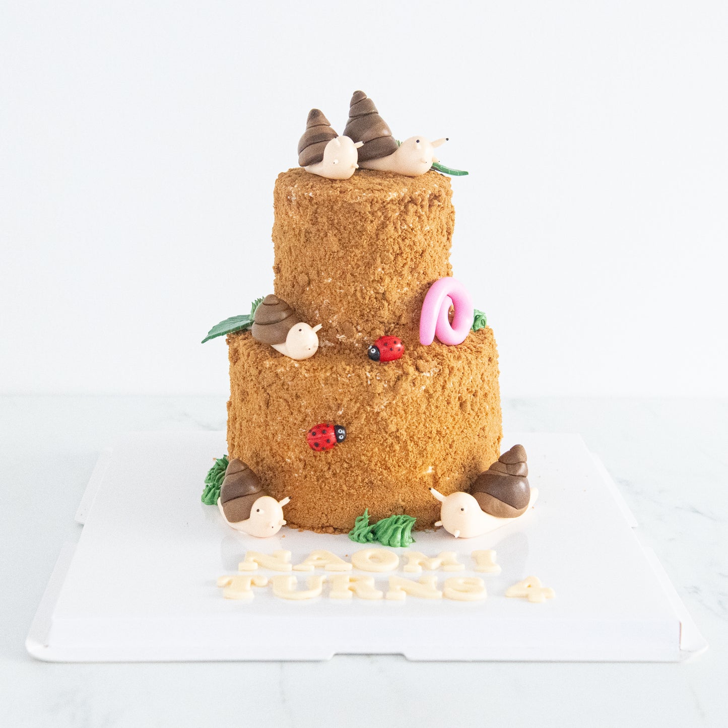 Customized Cake - Garden Snail Cake