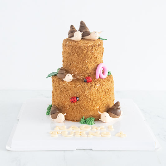Customized Cake - Garden Snail Cake