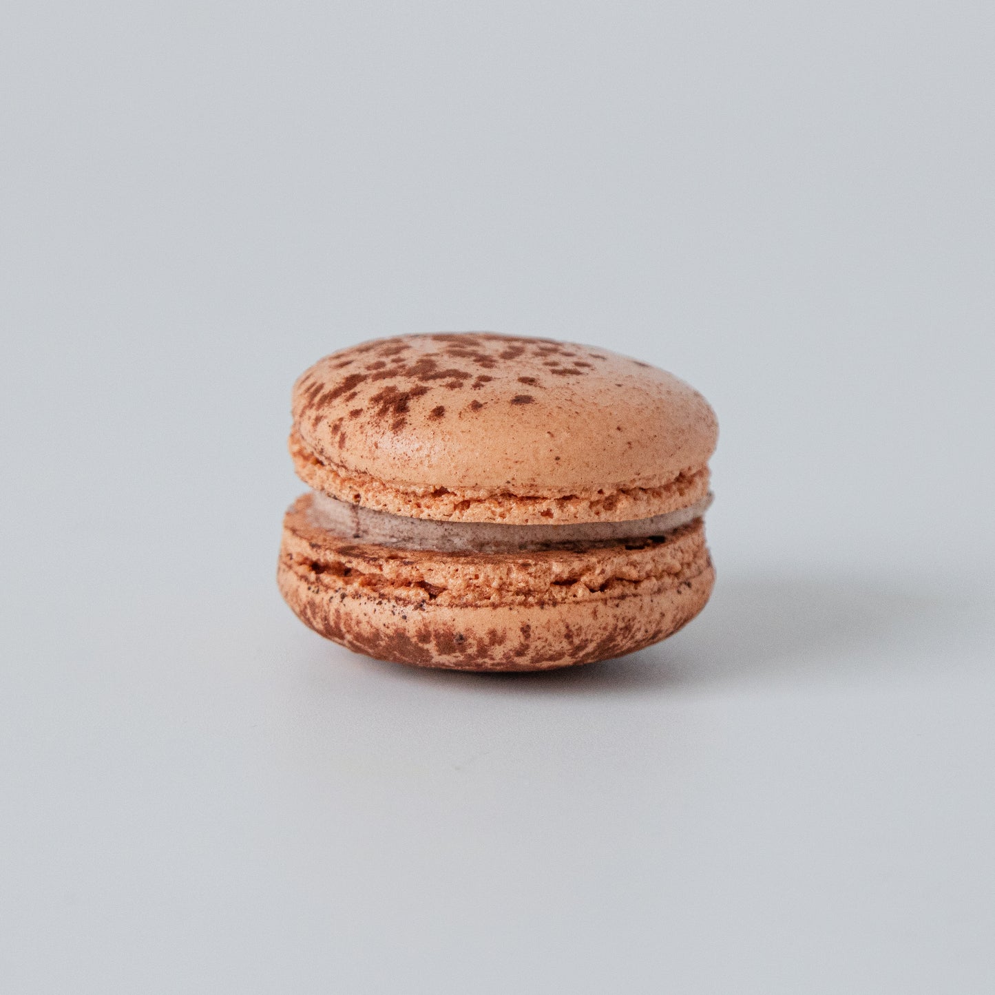 Classic Macaron - Milo Dinosaur(1pc)