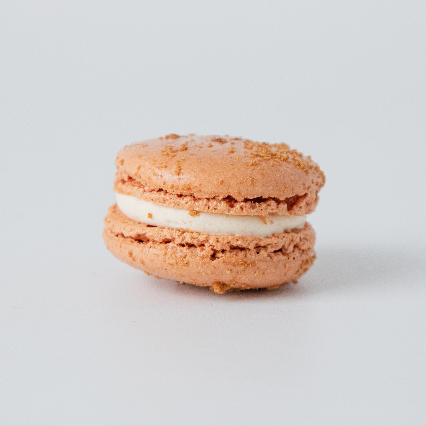 Premium Macaron - Speculoos (1pc)