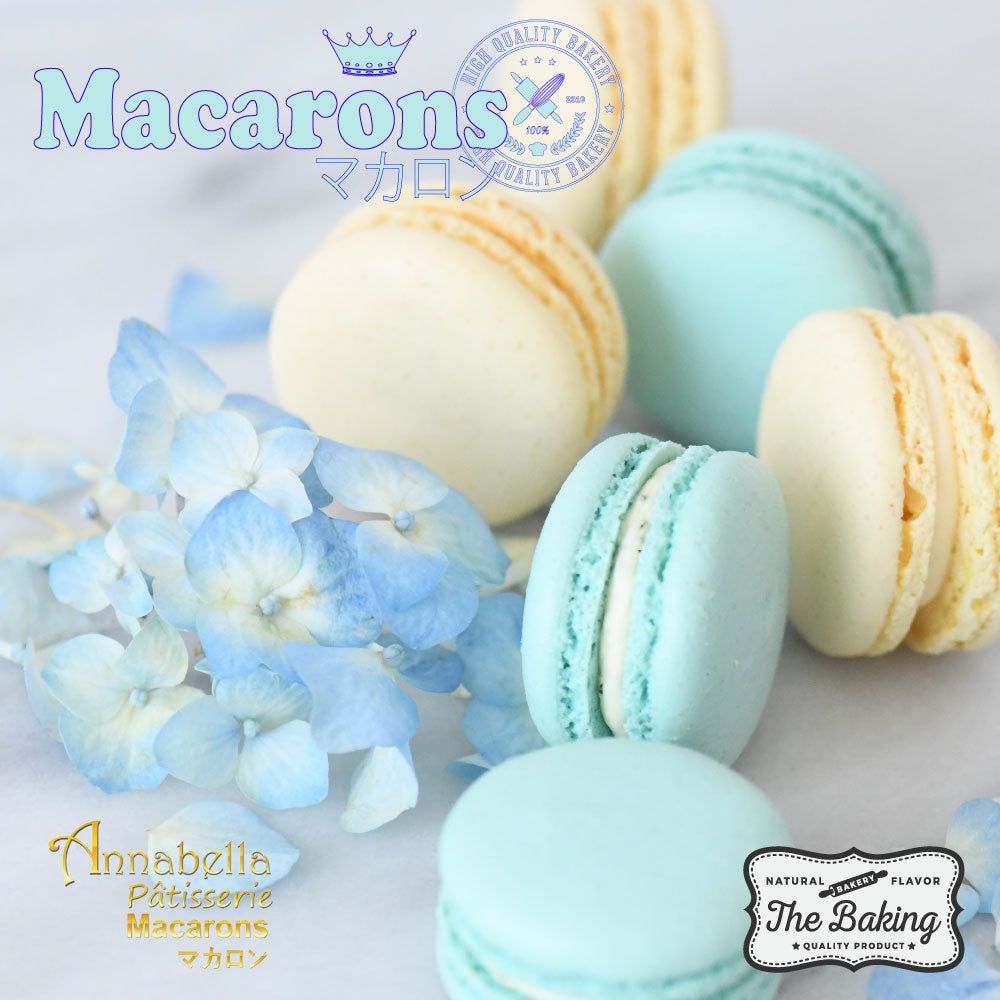 10.10 Sales! 6PCS Macarons in Gift Box (Classic 1) | in Gift Box and Paper Bag | Perfect Gift Choice | $10.10 only (u.p. $23.90)
