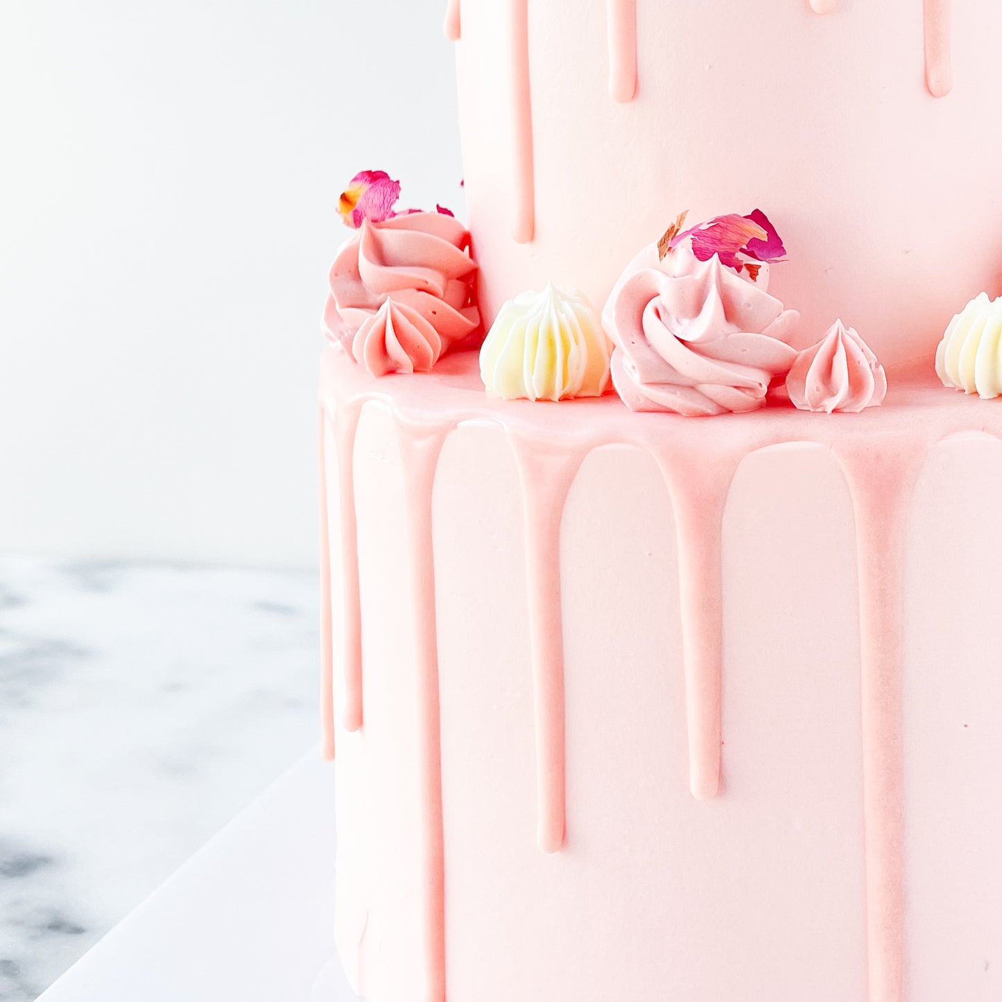 2-Tiers Lychee Rose Cake with 9pcs Macaron (Customised Pre order 3 days in advance)
