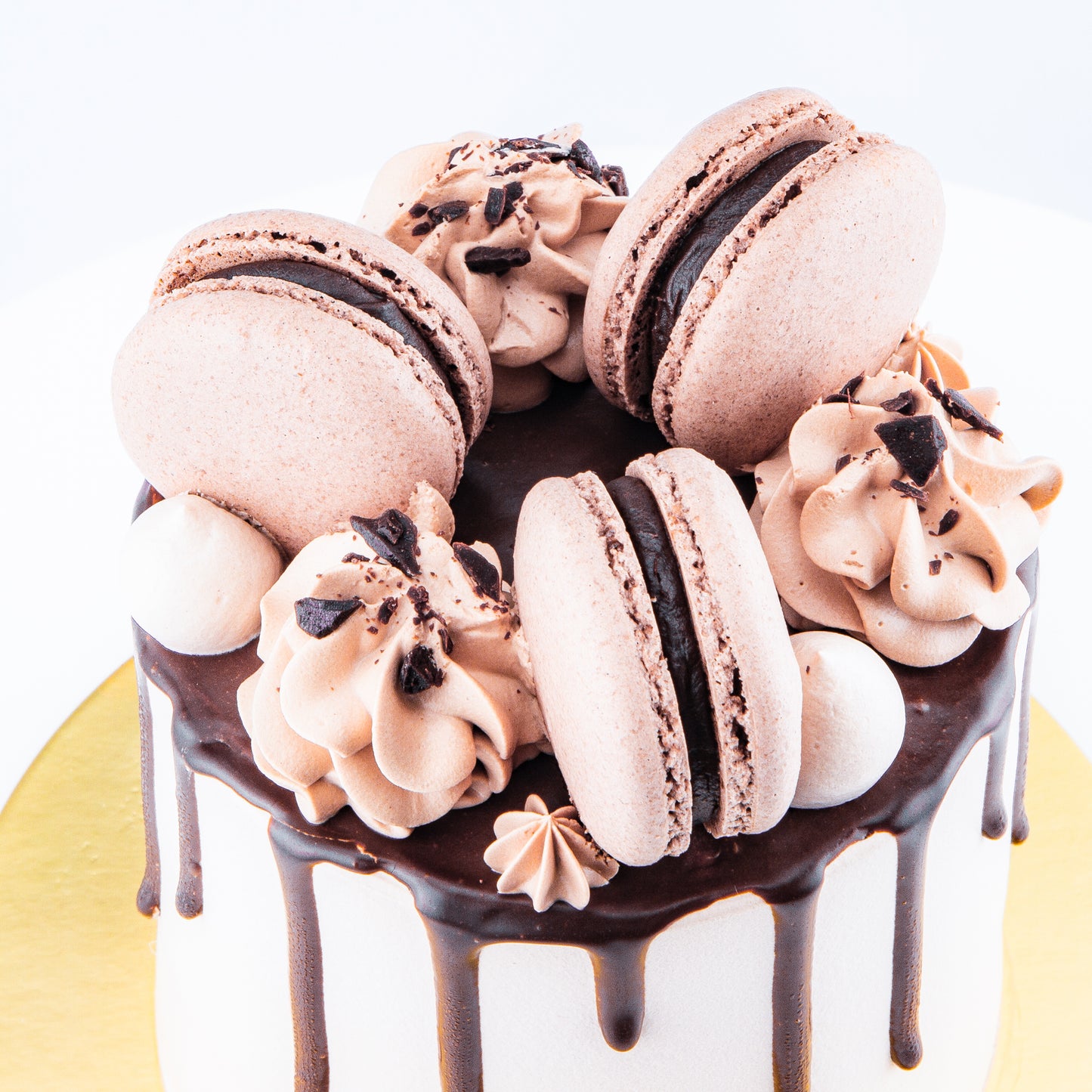 11.11 Sales! Chocolate Truffle Cake Petite   | Including 3 pcs Macarons | $29.90 only ($35.80 nett)