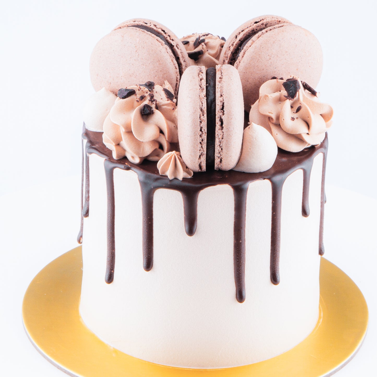 11.11 Sales! Chocolate Truffle Cake Petite   | Including 3 pcs Macarons | $29.90 only ($35.80 nett)