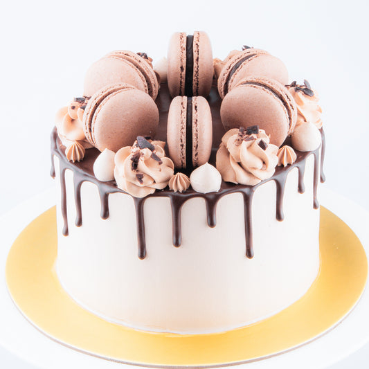 Sales! Chocolate Truffle Cake Upsize (Including  6 pcs macarons)| $65.80 nett only