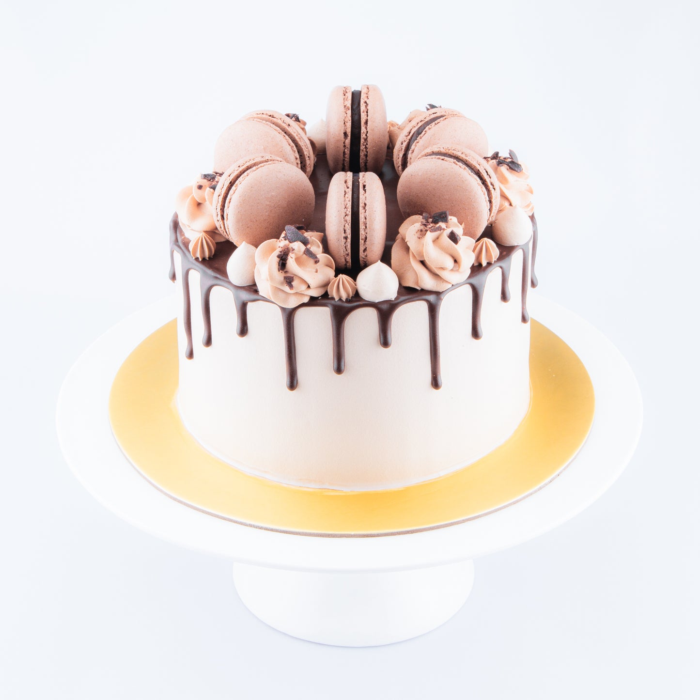 Sales! Chocolate Truffle Cake Upsize (Including  6 pcs macarons)| $65.80 nett only