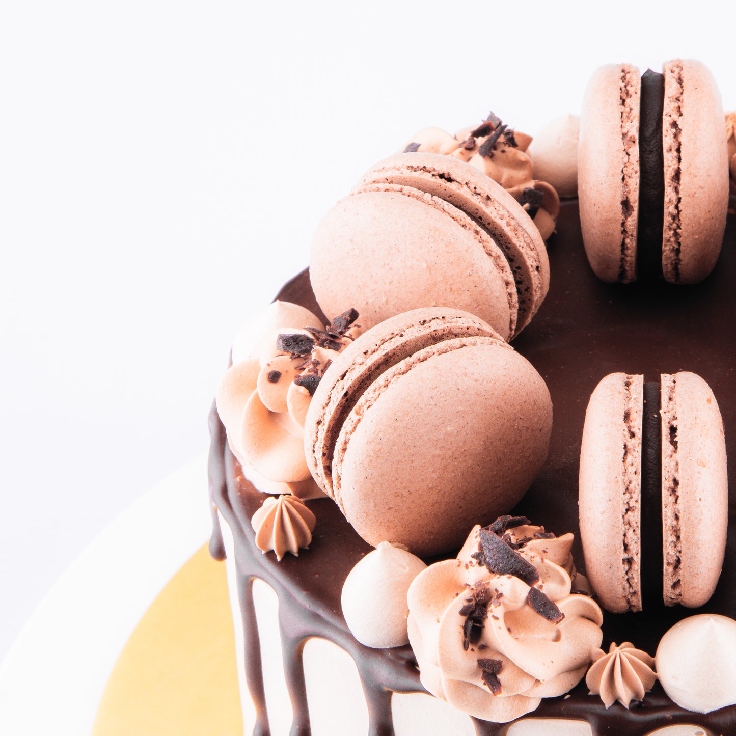 Sales! Chocolate Truffle Cake Upsize (Including  6 pcs macarons)| $65.80 nett only