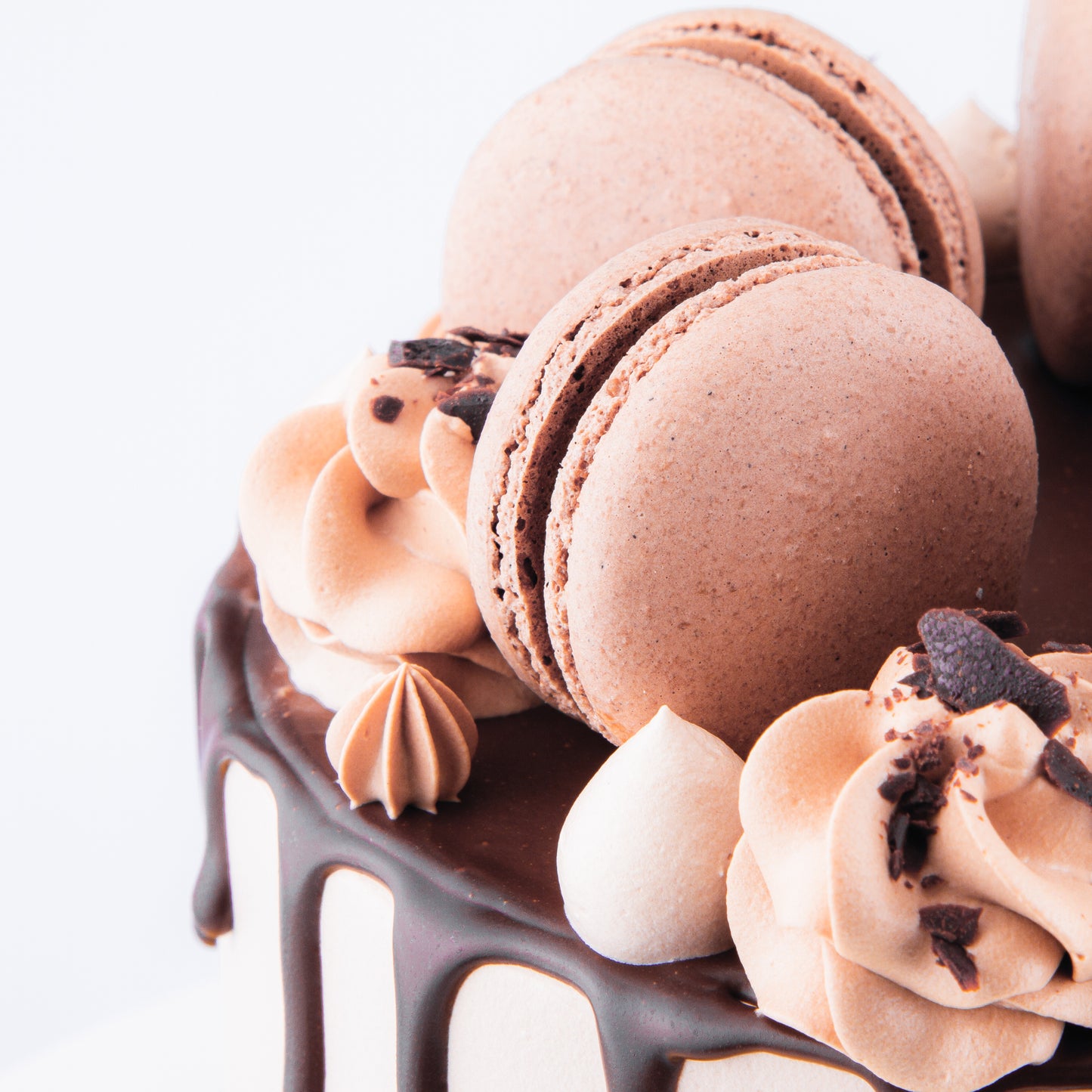 Sales! Chocolate Truffle Cake Upsize (Including  6 pcs macarons)| $65.80 nett only
