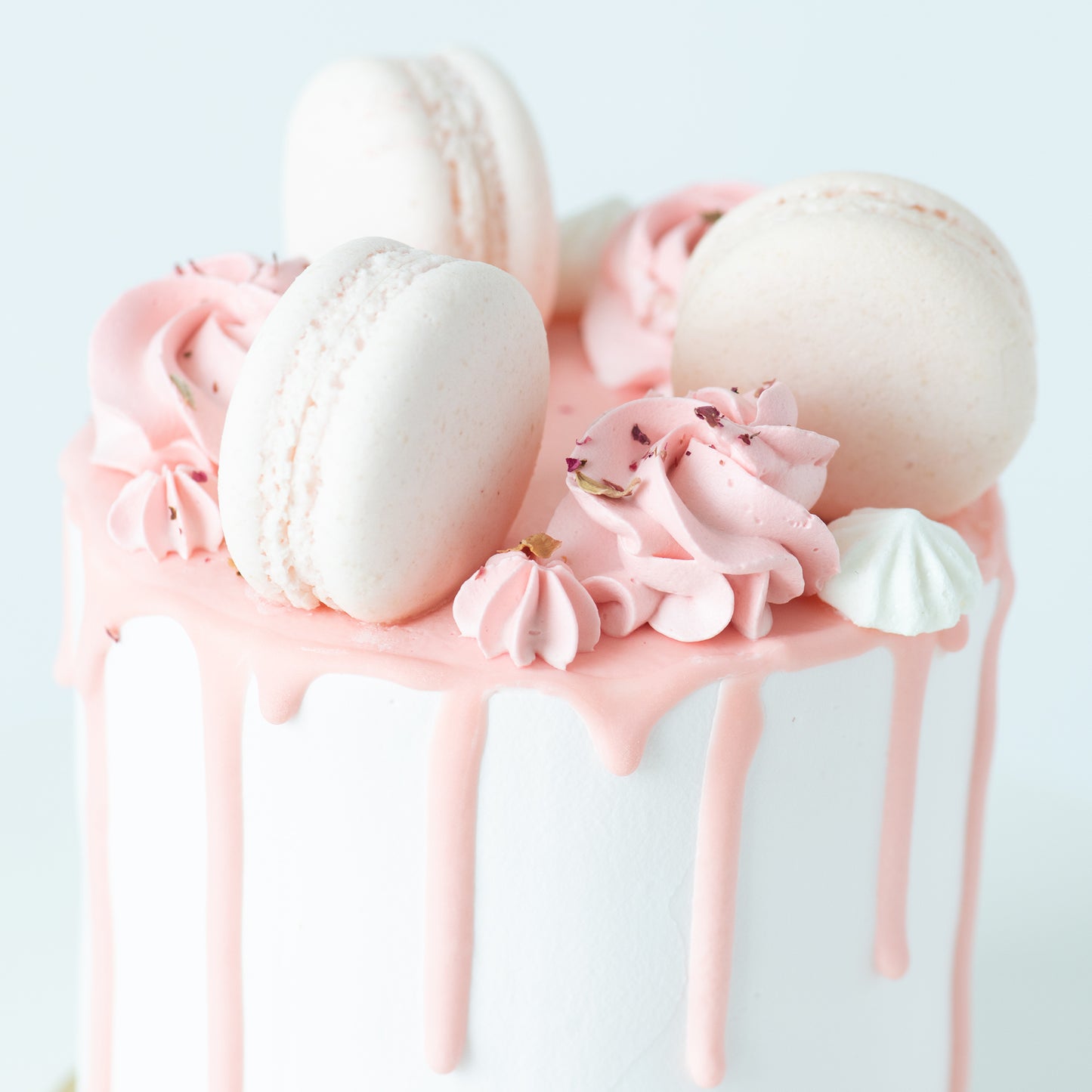 Sales! Lychee Rose Cake Petite   | Including 3 pcs Macarons | $35.80 nett only