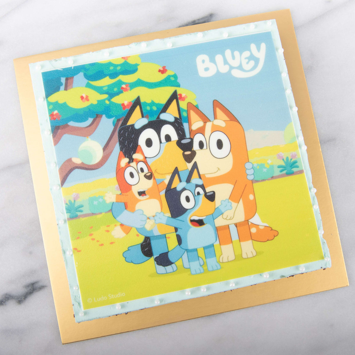 Bluey Fudgy Big Brownie 18x18cm | (U.P $65.80)
