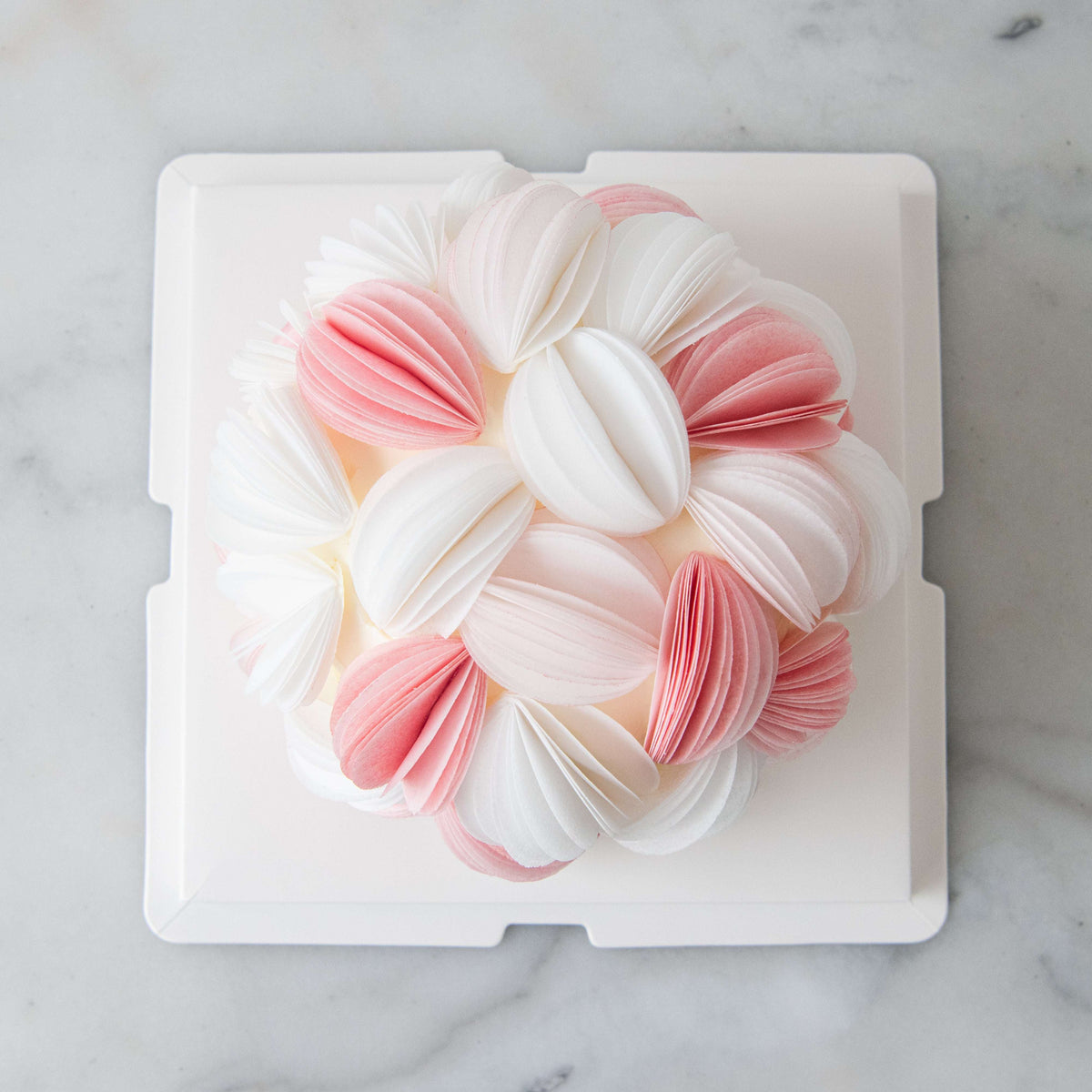 Customized Cake- Blush Petal Bloom Cake 🌸