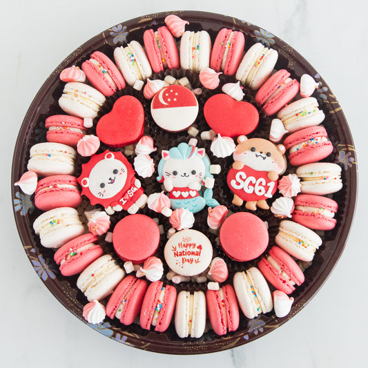 Happy National Day | SG61 Jumbo Treasure Macaron Set | $128 Nett
