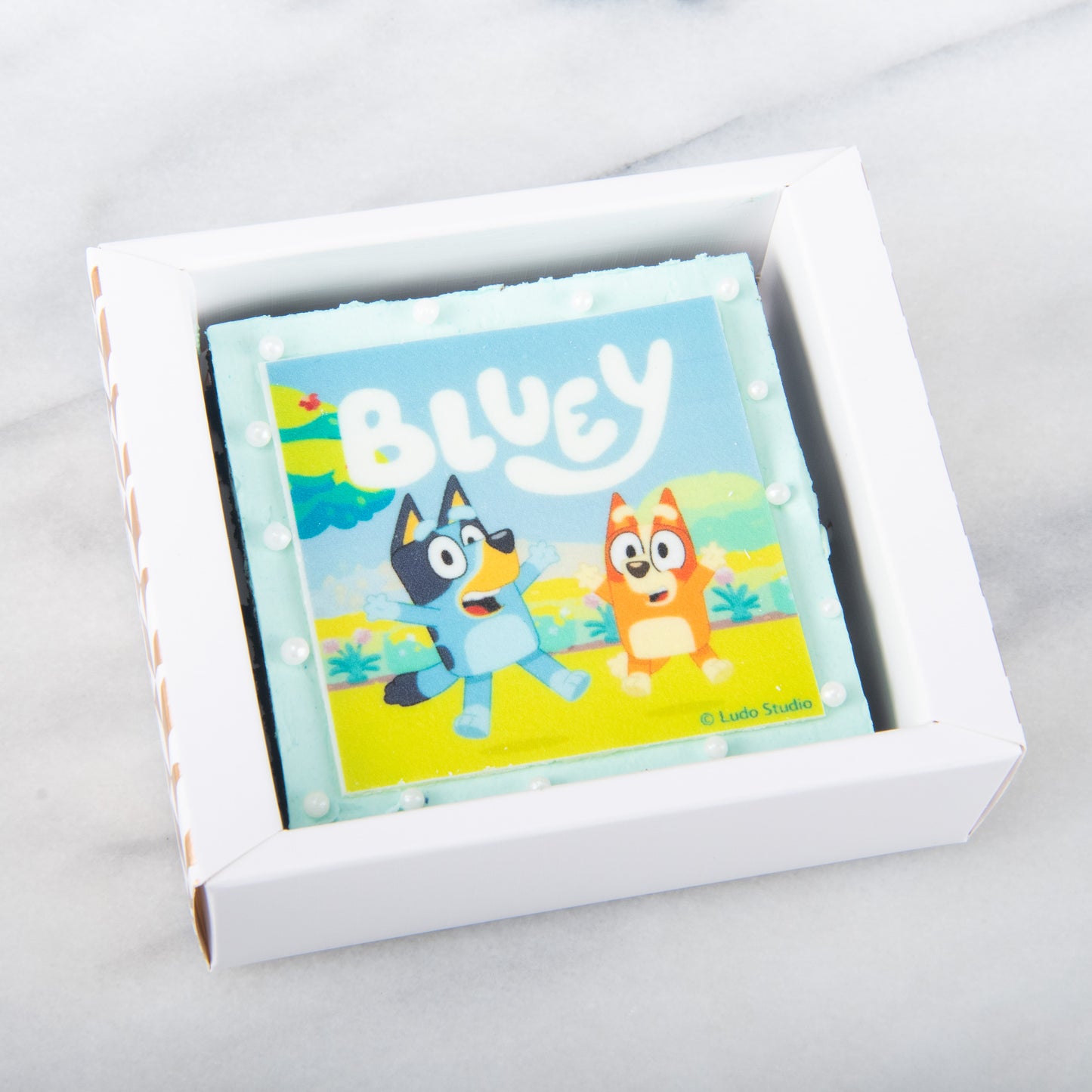 Bluey Delicious Brownie 8x8cm 01 | $10.80 Nett