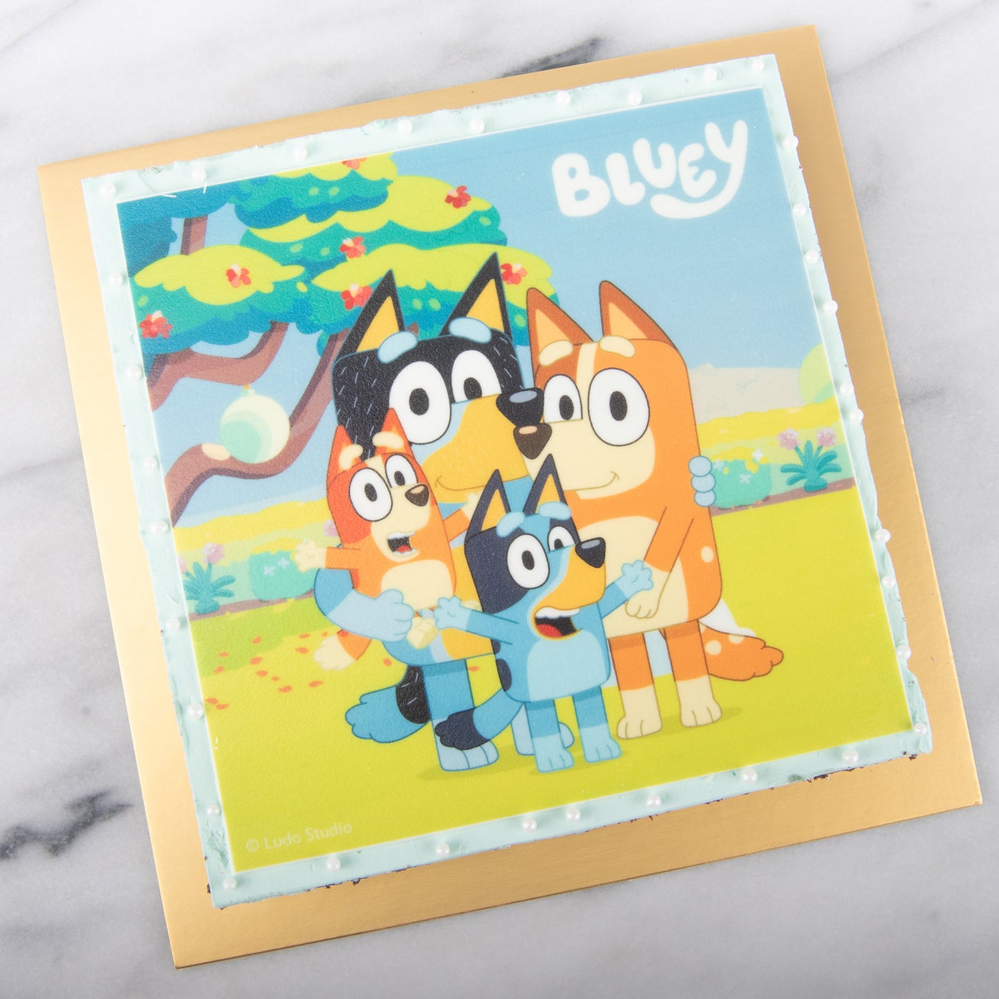 Bluey Fudgy Big Brownie 18x18cm | $45.80 Nett