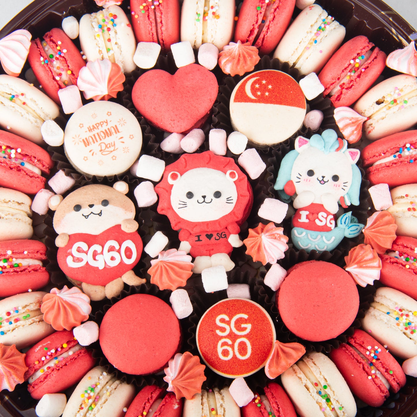 Happy National Day | This is home Jumbo Treasure Macaron Set | $128 Nett