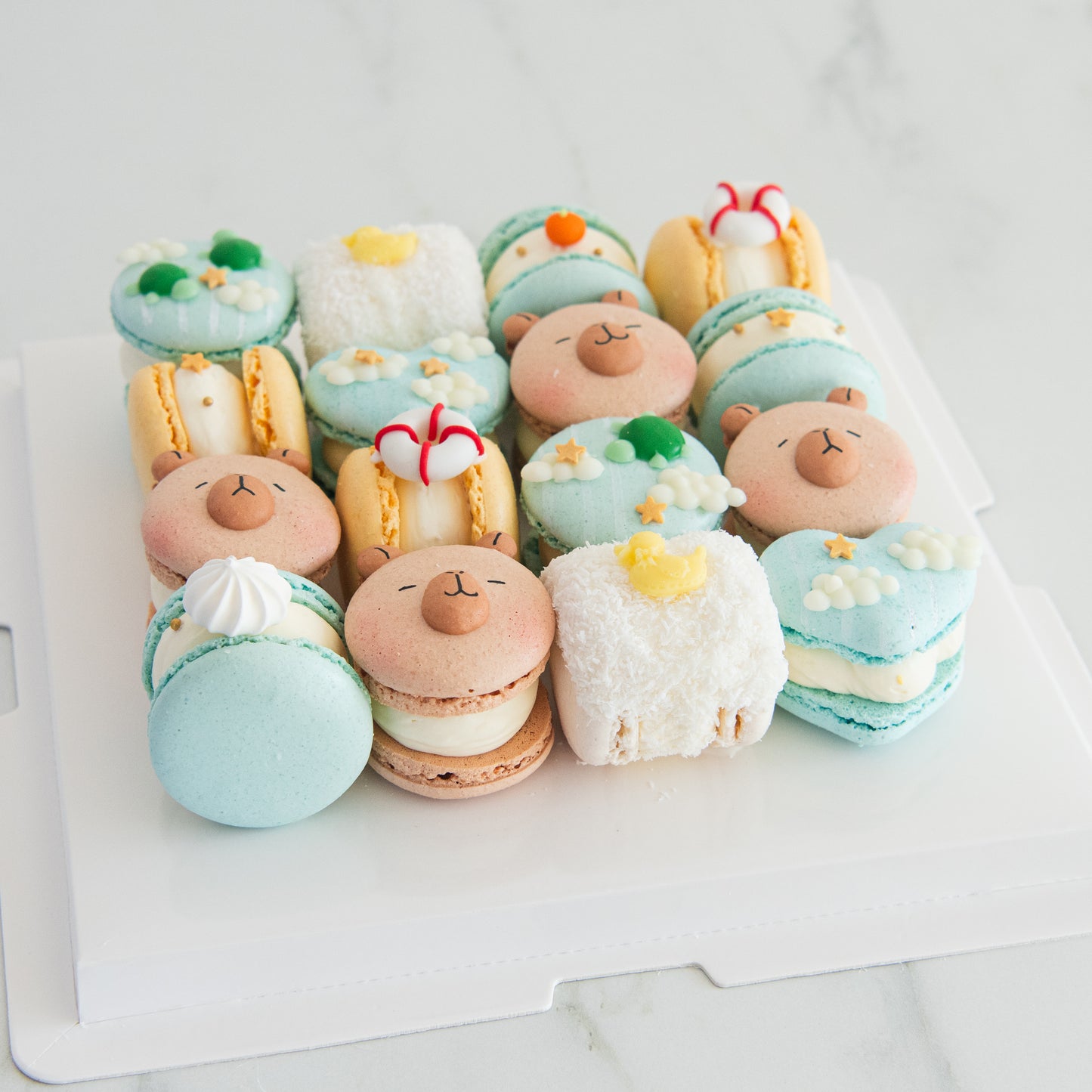 16 pcs Chill Time Capybara Fatcarons | $118 Nett