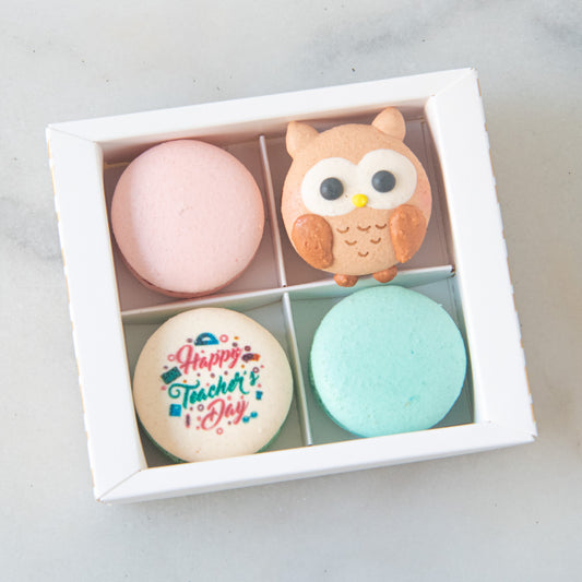 Happy Teacher's Day | 4in1 Wise Owl Macaron | $13.80 Nett Only