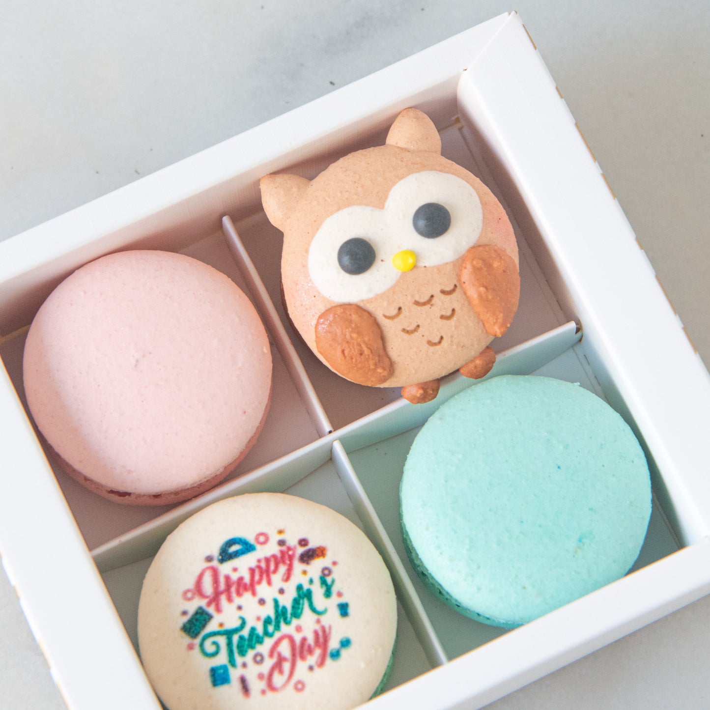 Happy Teacher's Day | 4in1 Wise Owl Macaron | $13.80 Nett Only