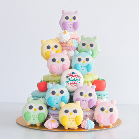 Happy Teacher's Day | Pastel Owls Macaron Tower | Price $158 nett