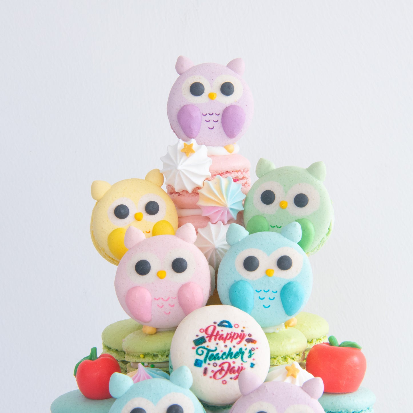 Happy Teacher's Day | Pastel Owls Macaron Tower | Price $158 nett