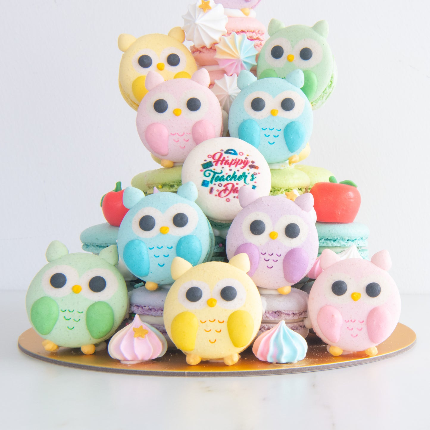Happy Teacher's Day | Pastel Owls Macaron Tower | Price $158 nett
