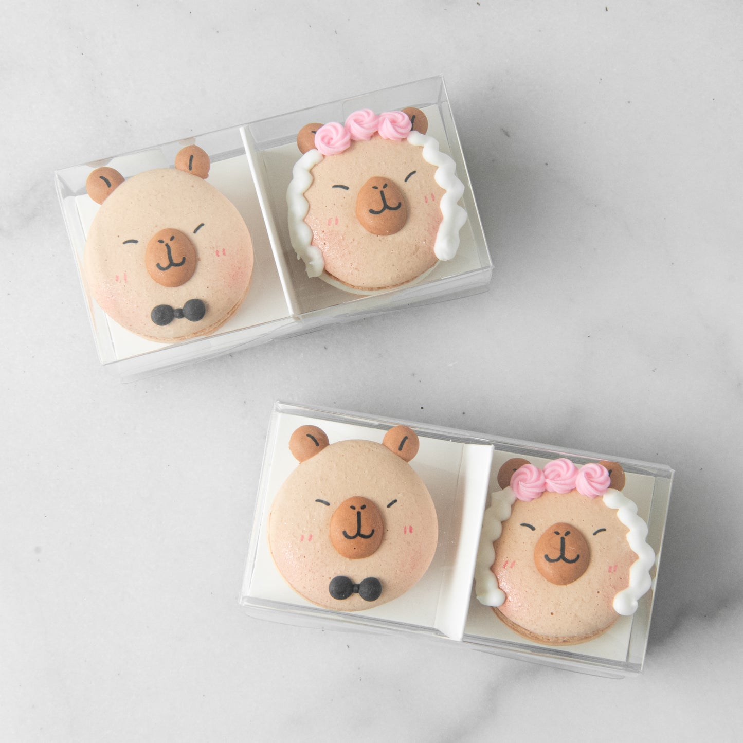 2in1 Love in the Air Capybara Macarons (Inspired by Yurong) | $8.80 Nett