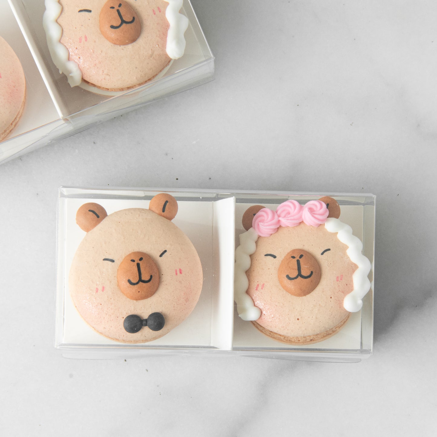 2in1 Love in the Air Capybara Macarons (Inspired by Yurong) | $8.80 Nett