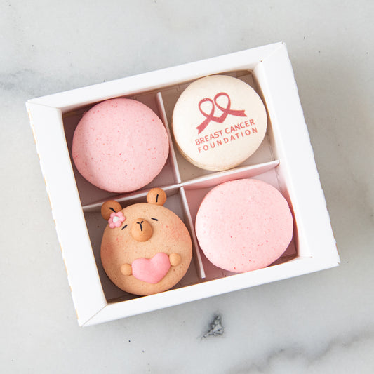 Breast Cancer Foundation 4in1 Capybara Macaron Set | 30% of the proceeds from each box goes to the Breast Cancer Foundation | $13.80 Nett