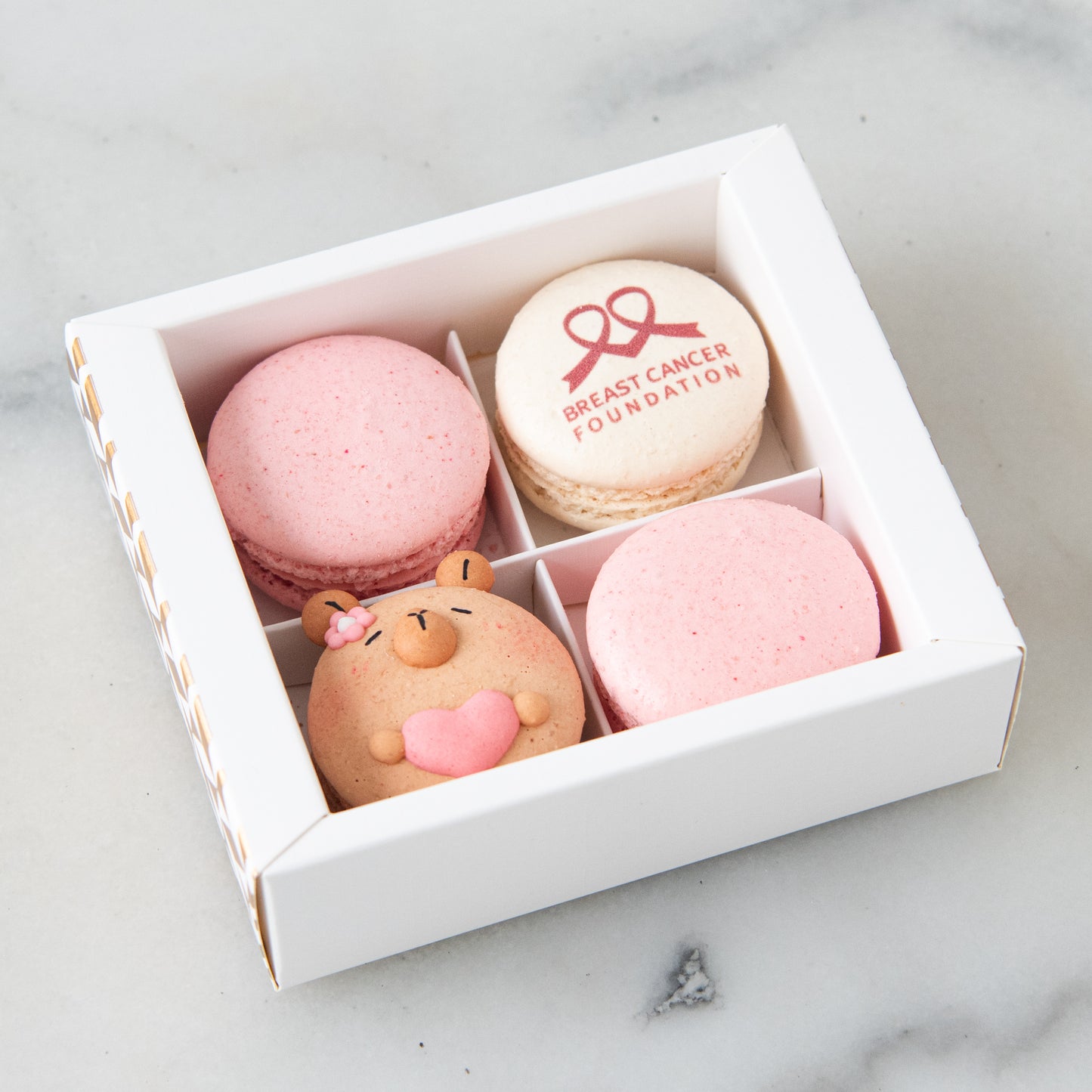 Breast Cancer Foundation 4in1 Capybara Macaron Set | 30% of the proceeds from each box goes to the Breast Cancer Foundation | $13.80 Nett