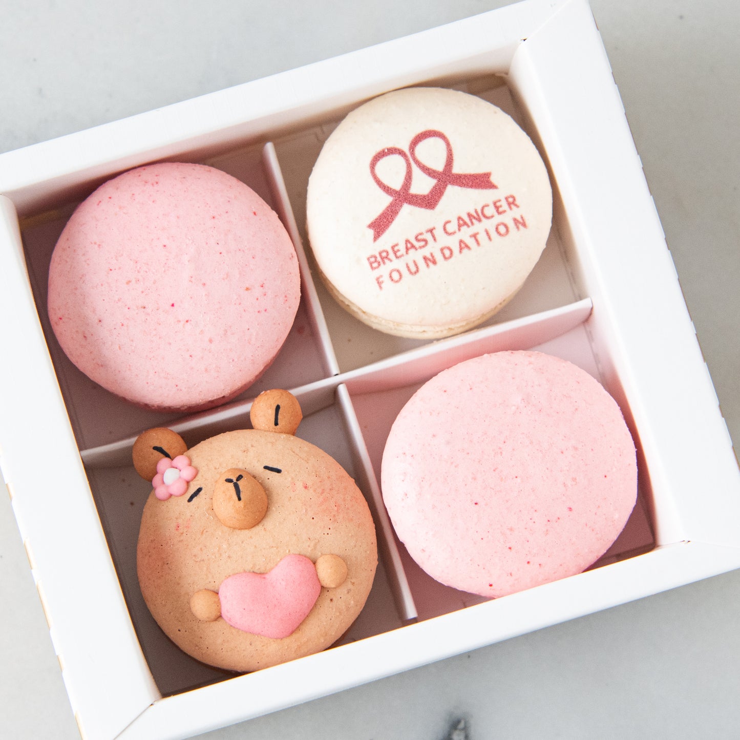 Breast Cancer Foundation 4in1 Capybara Macaron Set | 30% of the proceeds from each box goes to the Breast Cancer Foundation | $13.80 Nett