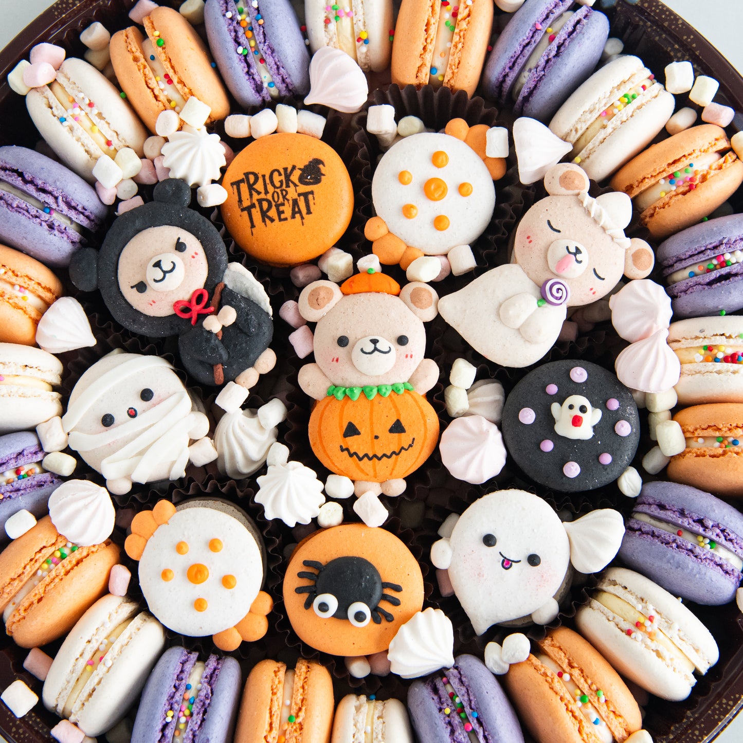 Happy Halloween | Beary Spooky Jumbo Treasure Set | $138 Nett