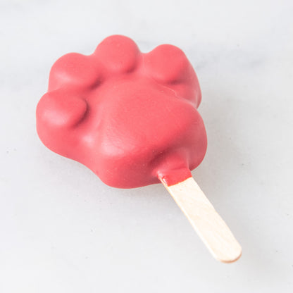 Disney Zootopia Paw Shape Cakesicles | $5 Nett