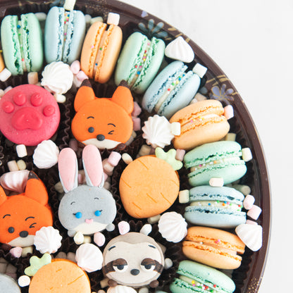 Disney Zootopia Jumbo Treasure Macaron | $138 Nett