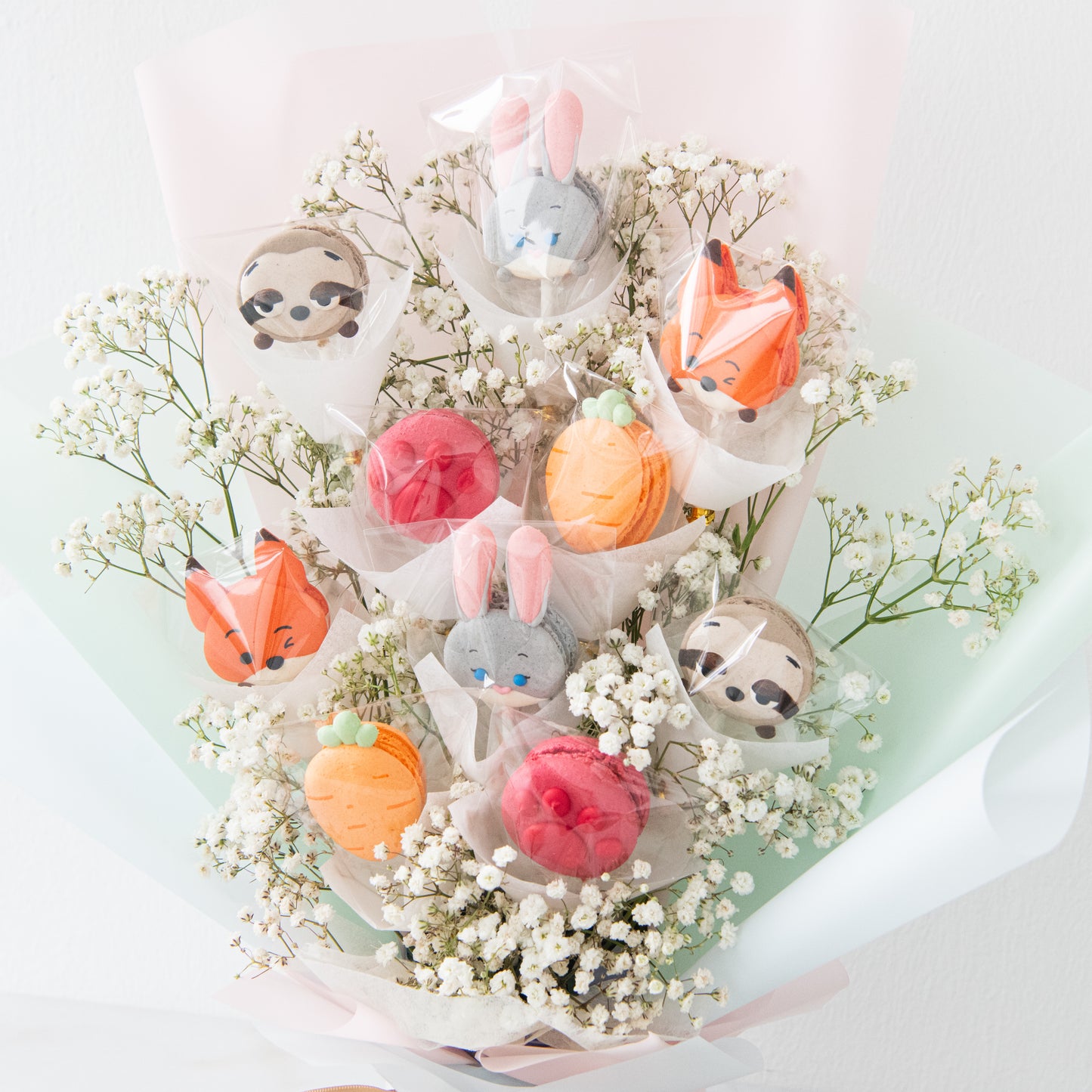 Disney Zootopia Macaron Bouquet | $138 Nett