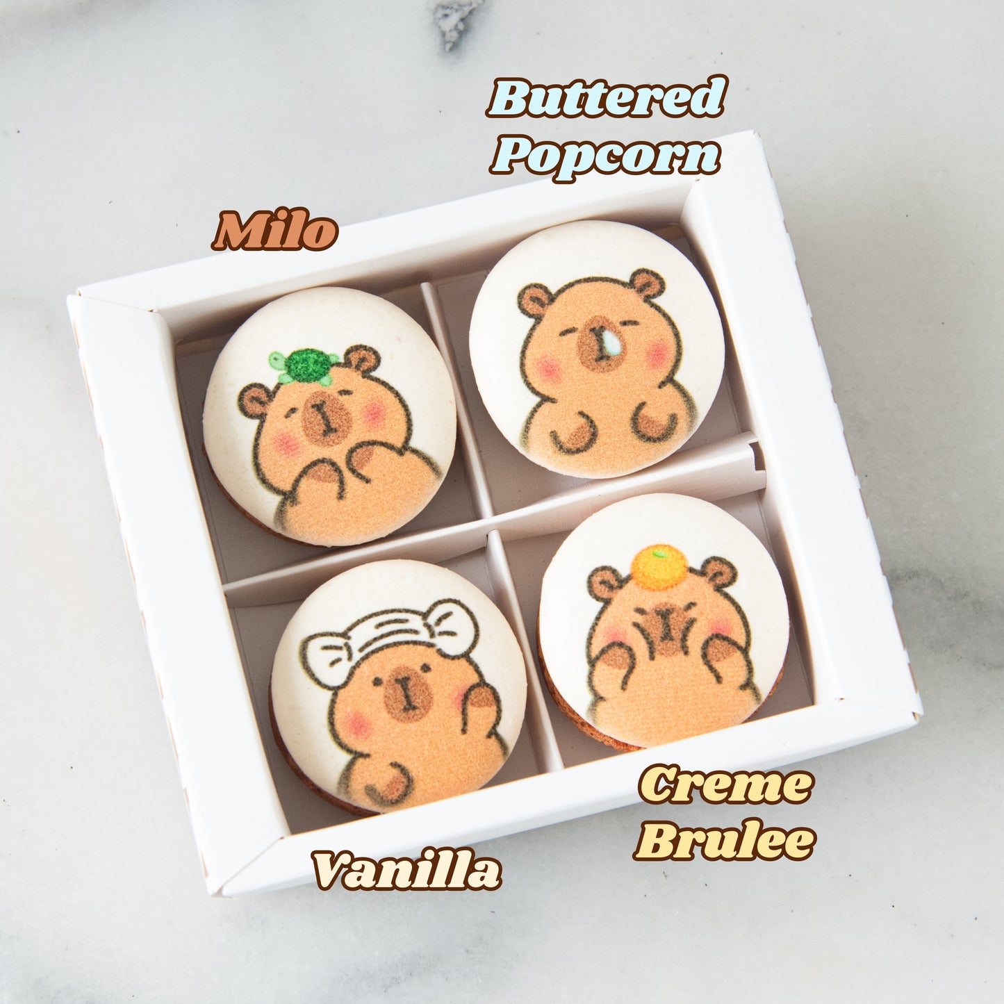 $11.11 Sales | 4in1 Printed Capybara Macaron In Gift Box