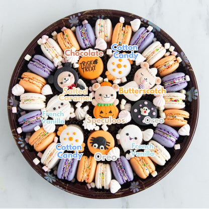 Happy Halloween | Beary Spooky Jumbo Treasure Set | $138 Nett