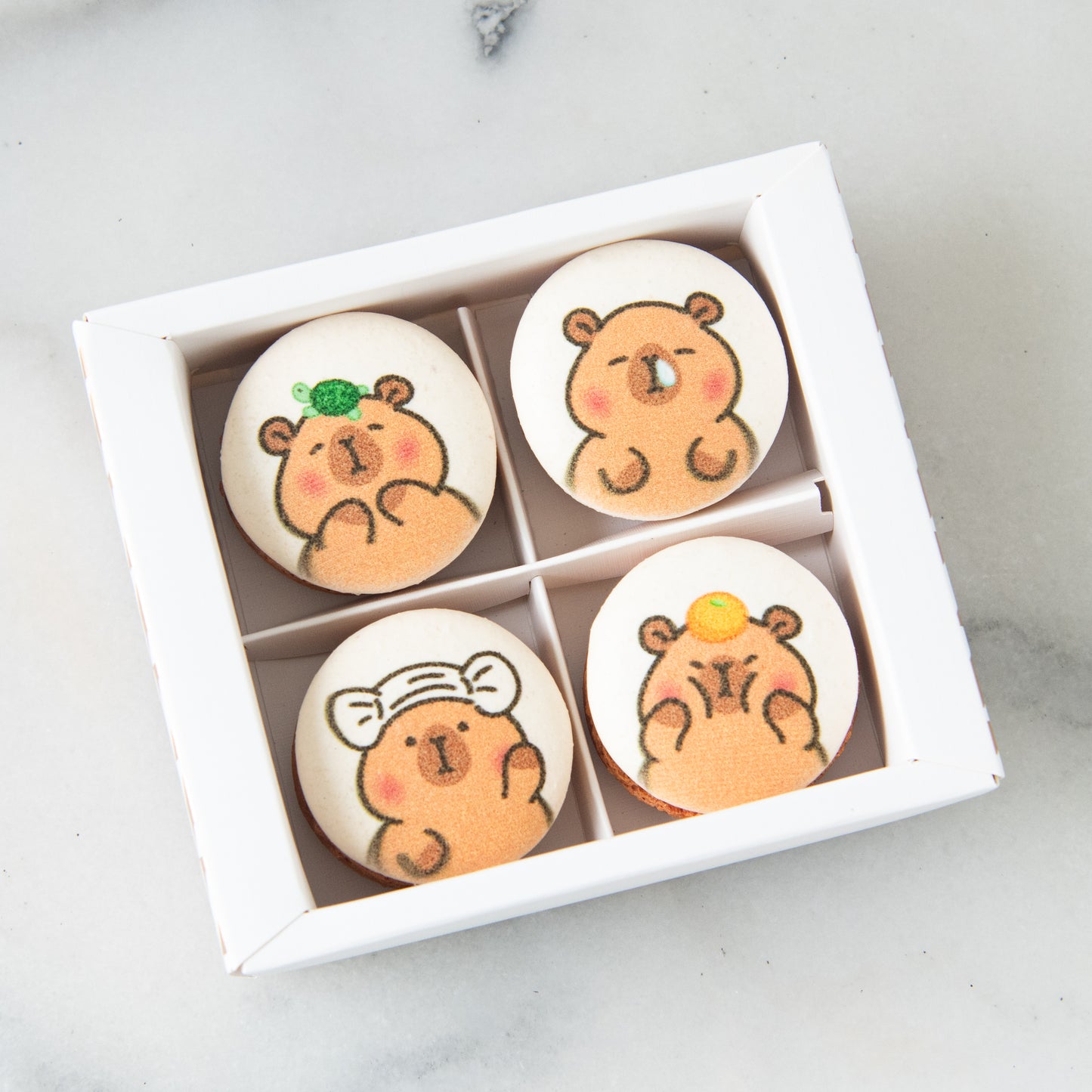 $11.11 Sales | 4in1 Printed Capybara Macaron In Gift Box