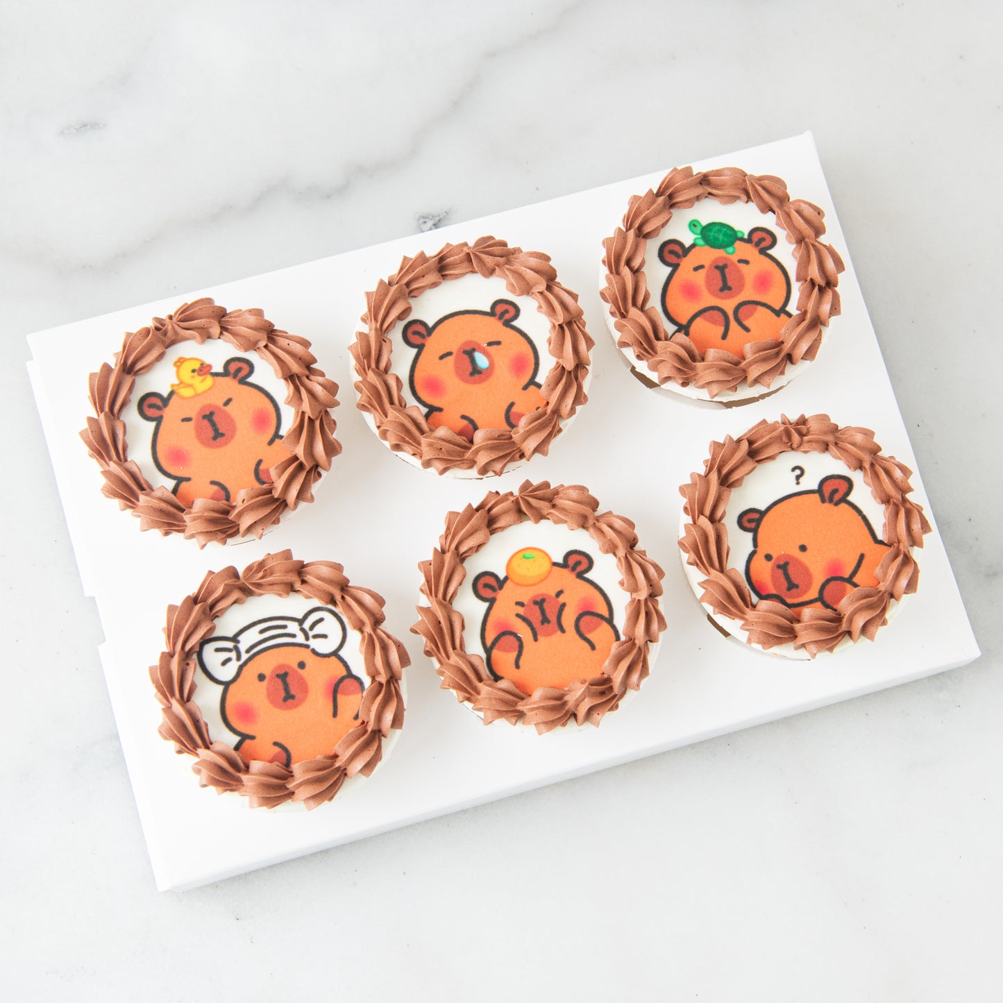 6pc Capybara cupcakes In Gift Box | $33.80 Nett