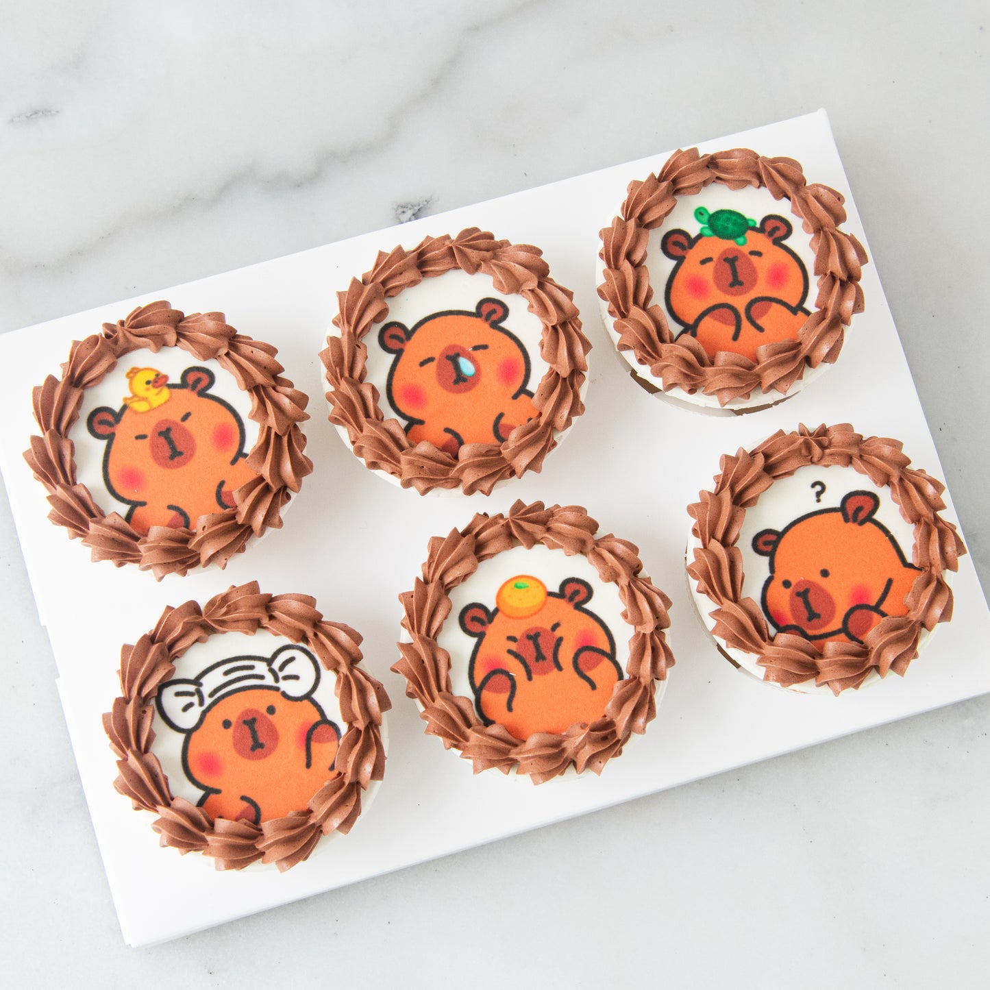 6pc Capybara cupcakes In Gift Box | $33.80 Nett